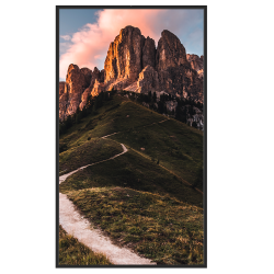 Monitor SAFIRE Alto Brillo 49&quot; SF-49WF50-FHD